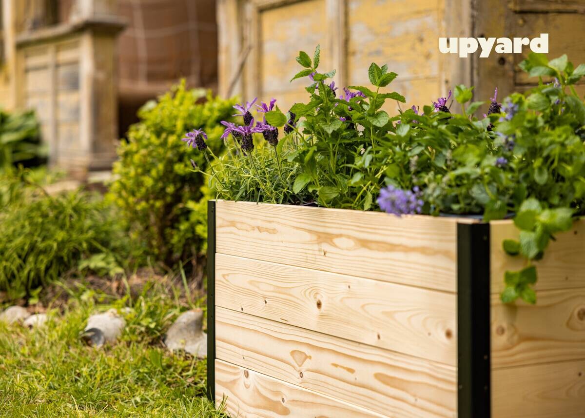 UPYARD Hochbeet MODERN natur Holz B/H/L: ca. 60x40x80 cm