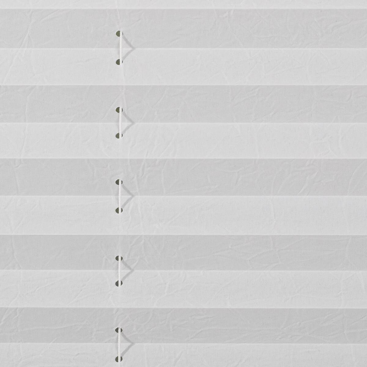 LICHTBLICK Spannplissee weiß B/L: ca. 70x130 cm