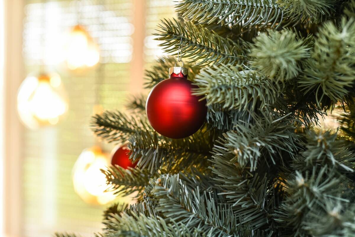 Evergreen Weihnachtsbaum Vermont Fichte