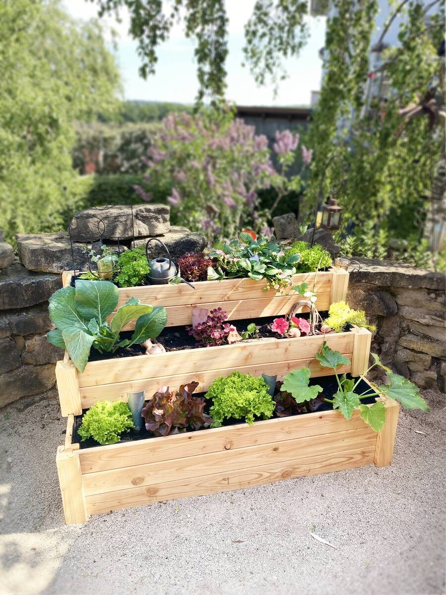 Westmann Treppenhochbeet Premium natur Lärche B/H/L: ca. 76x64x120 cm