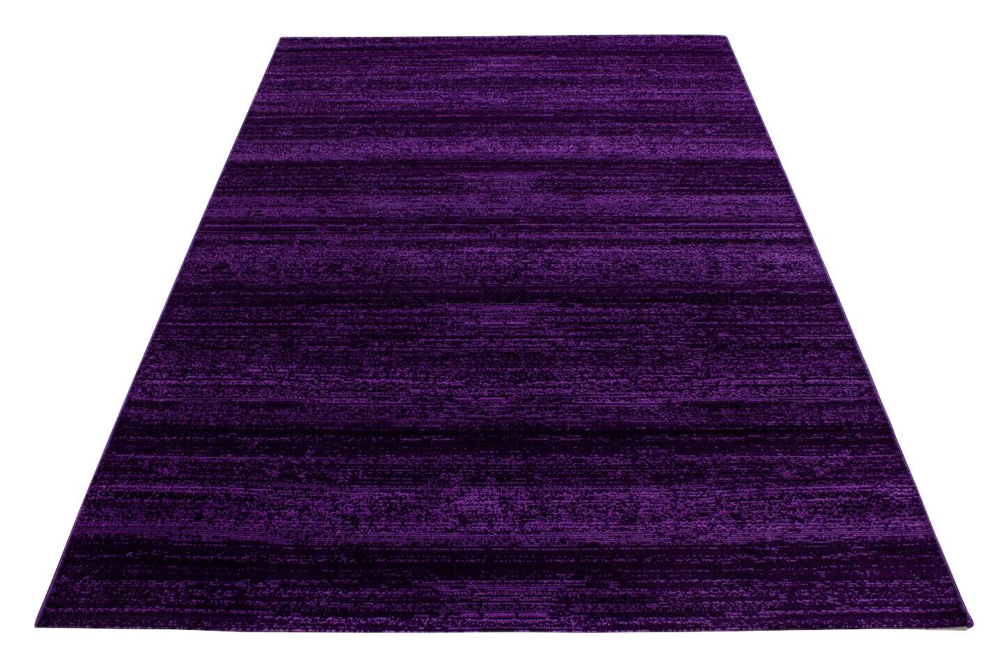Ayyildiz Teppich PLUS violett B/L: ca. 280x370 cm