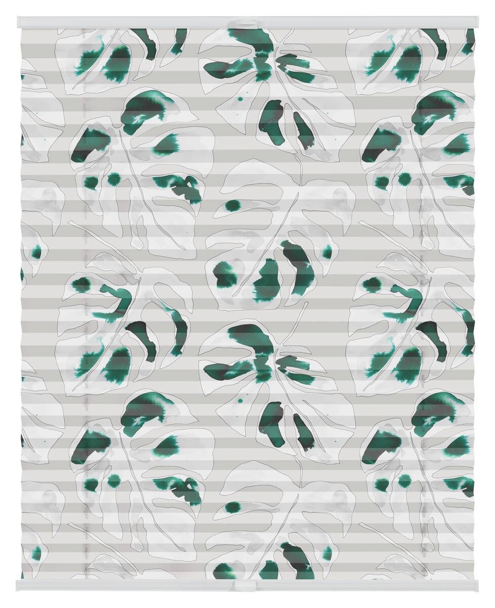 LICHTBLICK Spannplissee Monstera grün B/L: ca. 90x130 cm