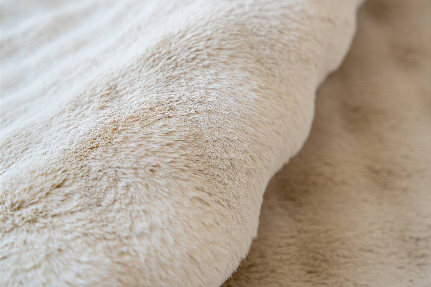 Padiro Hochflorteppich Hailey 125 creme B/H/L: ca. 200x3x290 cm