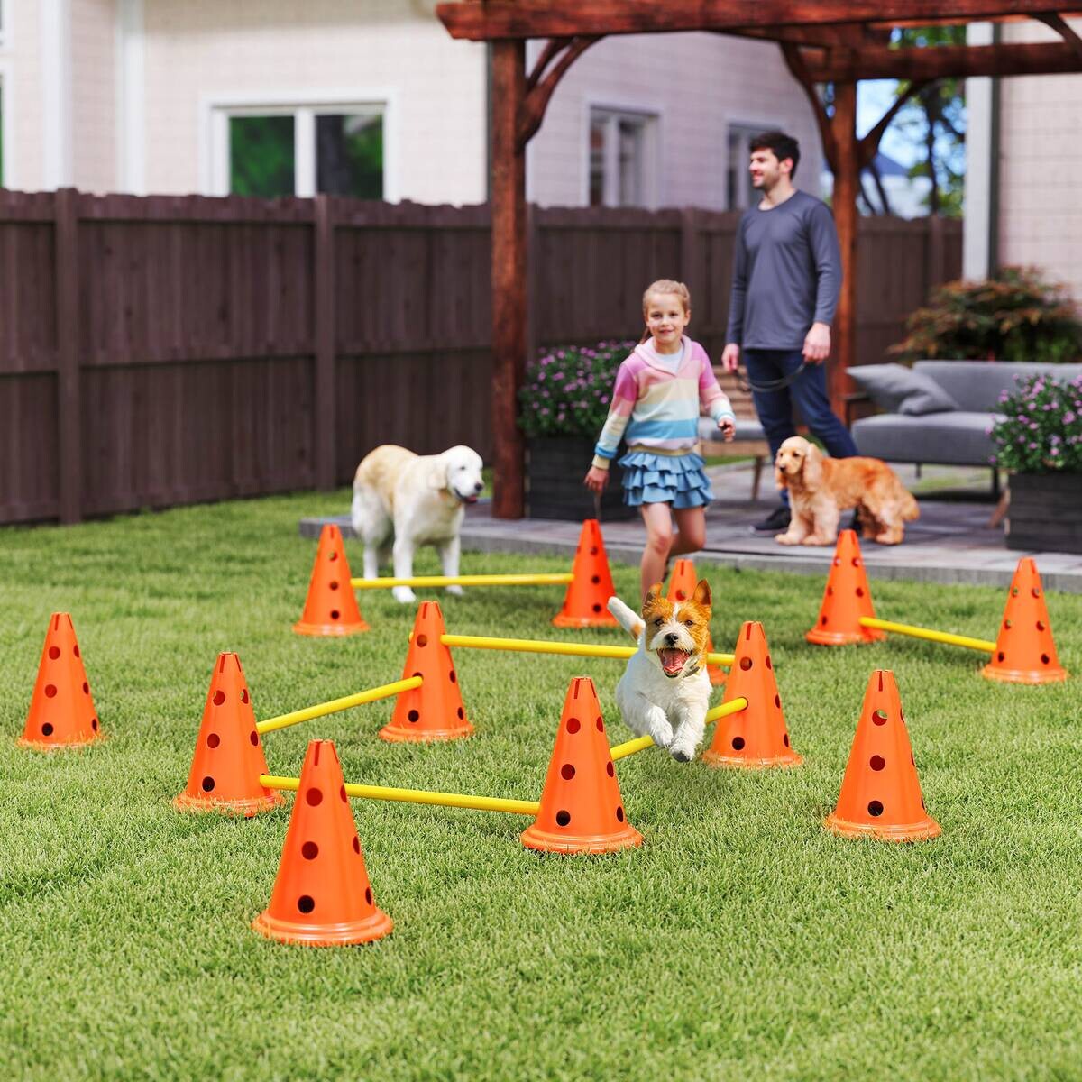 PawHut Hund Agility Set orange Kunststoff B/H/L: ca. 22,5x30x80 cm