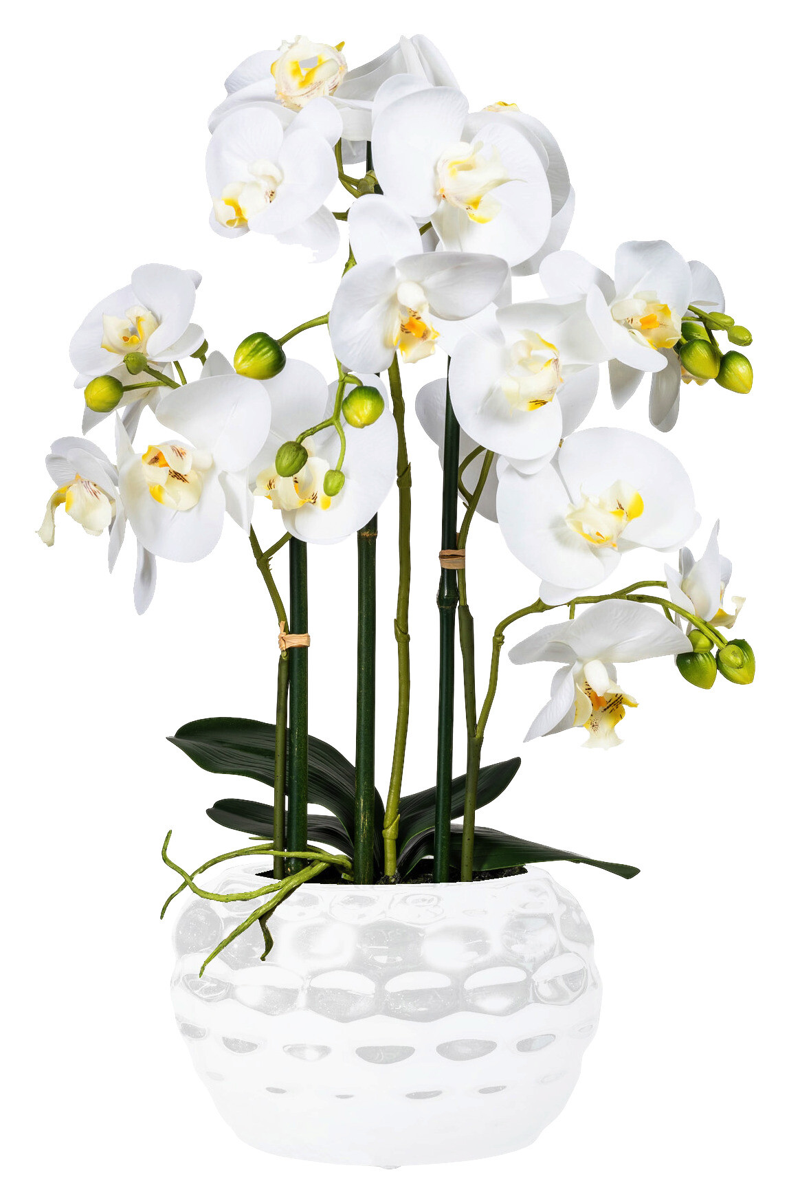 Orchidee weiß Kunststoff H: ca. 55 cm