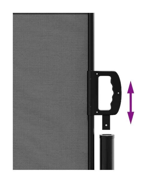 vidaXL Seitenmarkise anthrazit B/H/T/L: ca. 117x120x300x300 cm