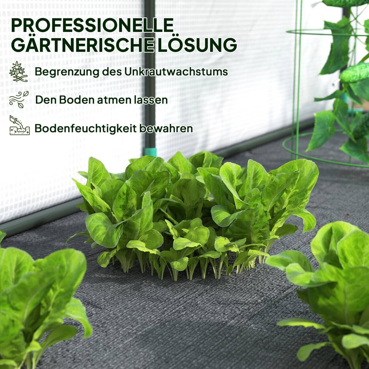 Outsunny Gewächshaus B/H/L: ca. 80x157x200 cm