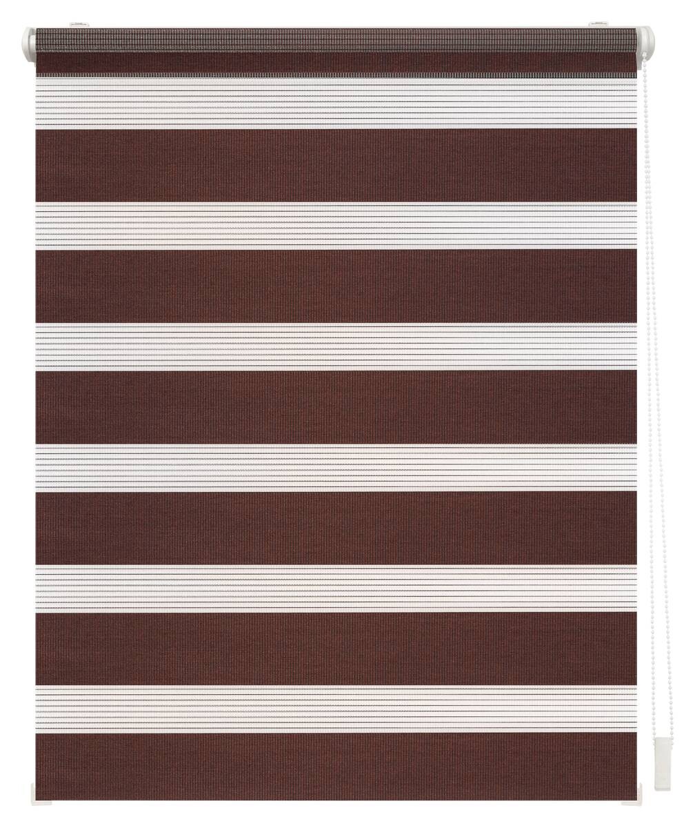 LICHTBLICK Doppelrollo Duo dunkelbraun B/L: ca. 100x150 cm