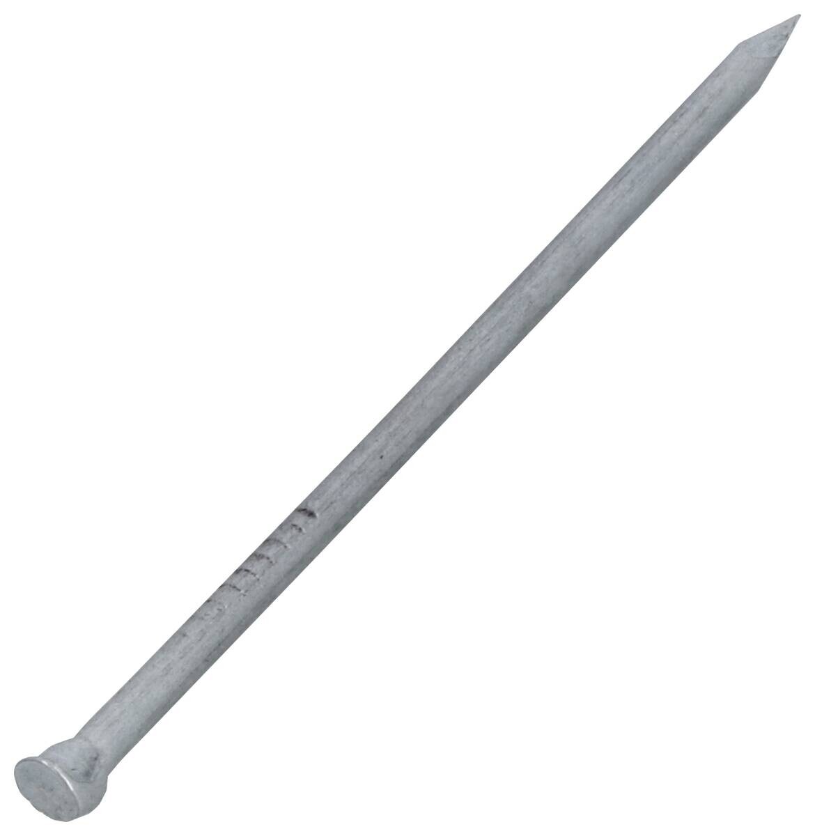 Nägel 100 tlg.