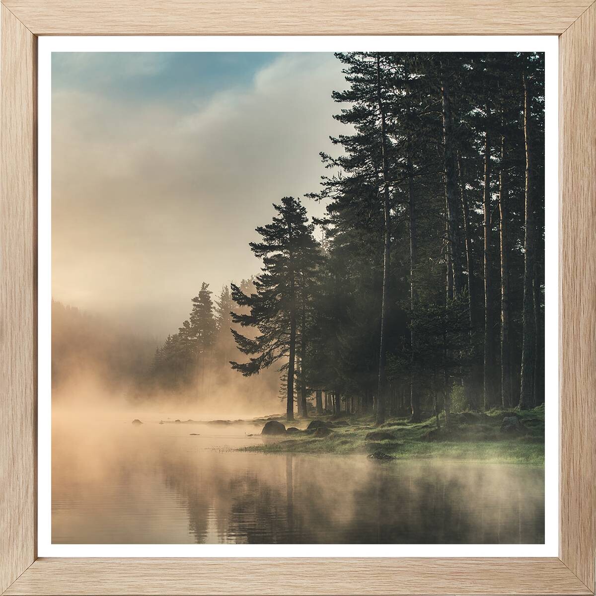 Bilder Wald