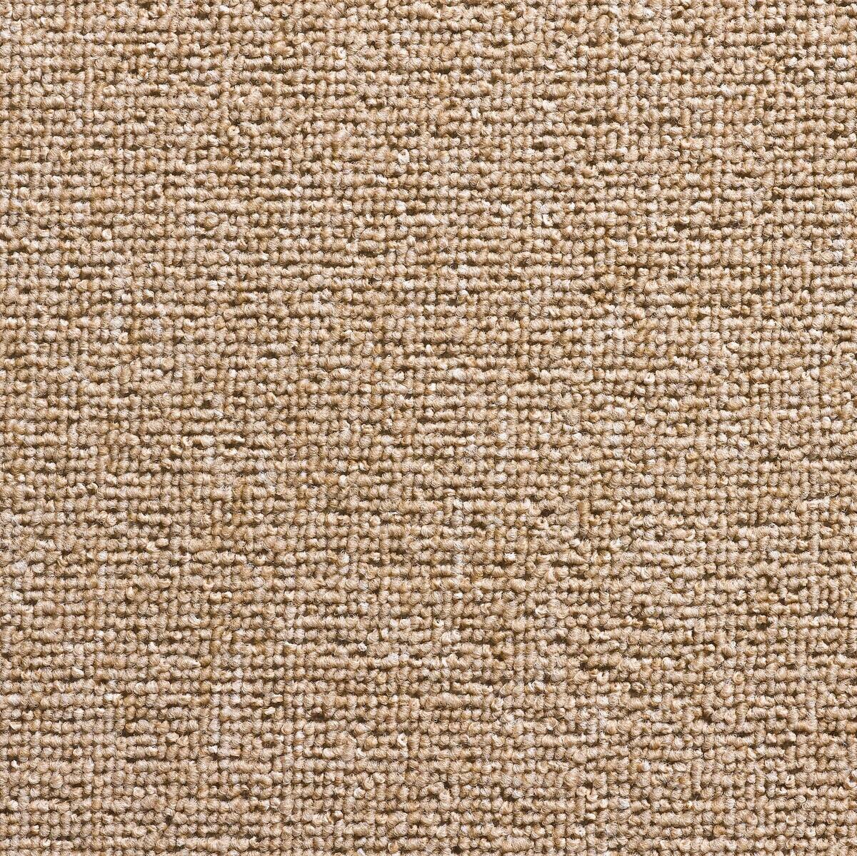 Teppichboden Torpedo dunkelbeige B: ca. 400 cm pro m²