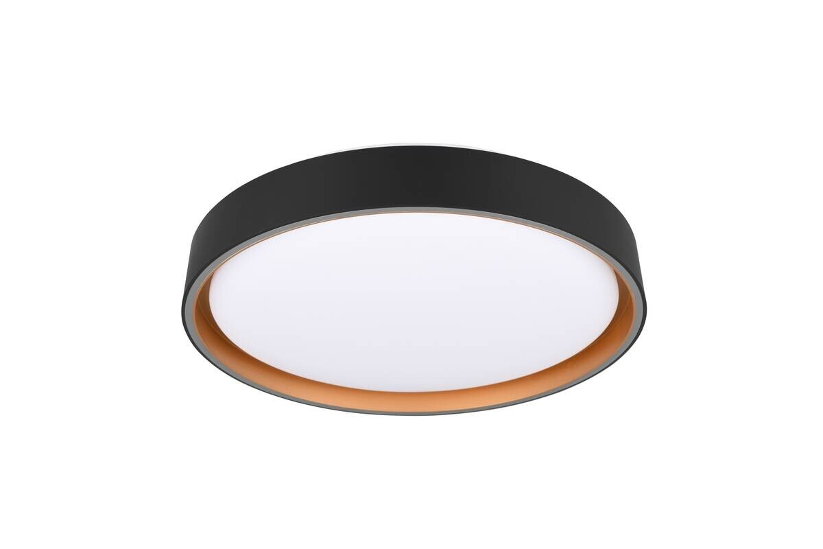 Reality LED-Deckenleuchte Felis gold schwarz Kunststoff H/D: ca. 7x40 cm