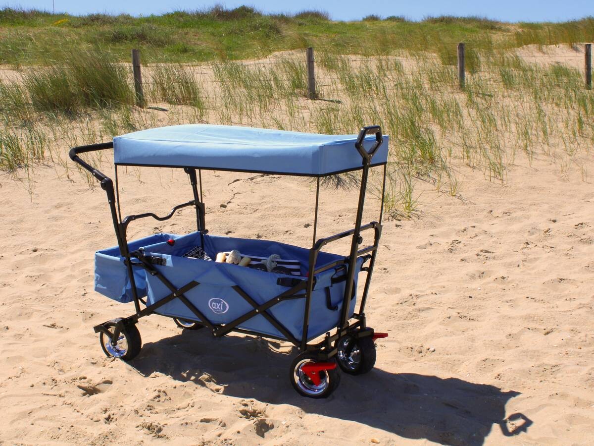 AXI Bollerwagen AB210 grau B/H/L: ca. 59x102x134 cm