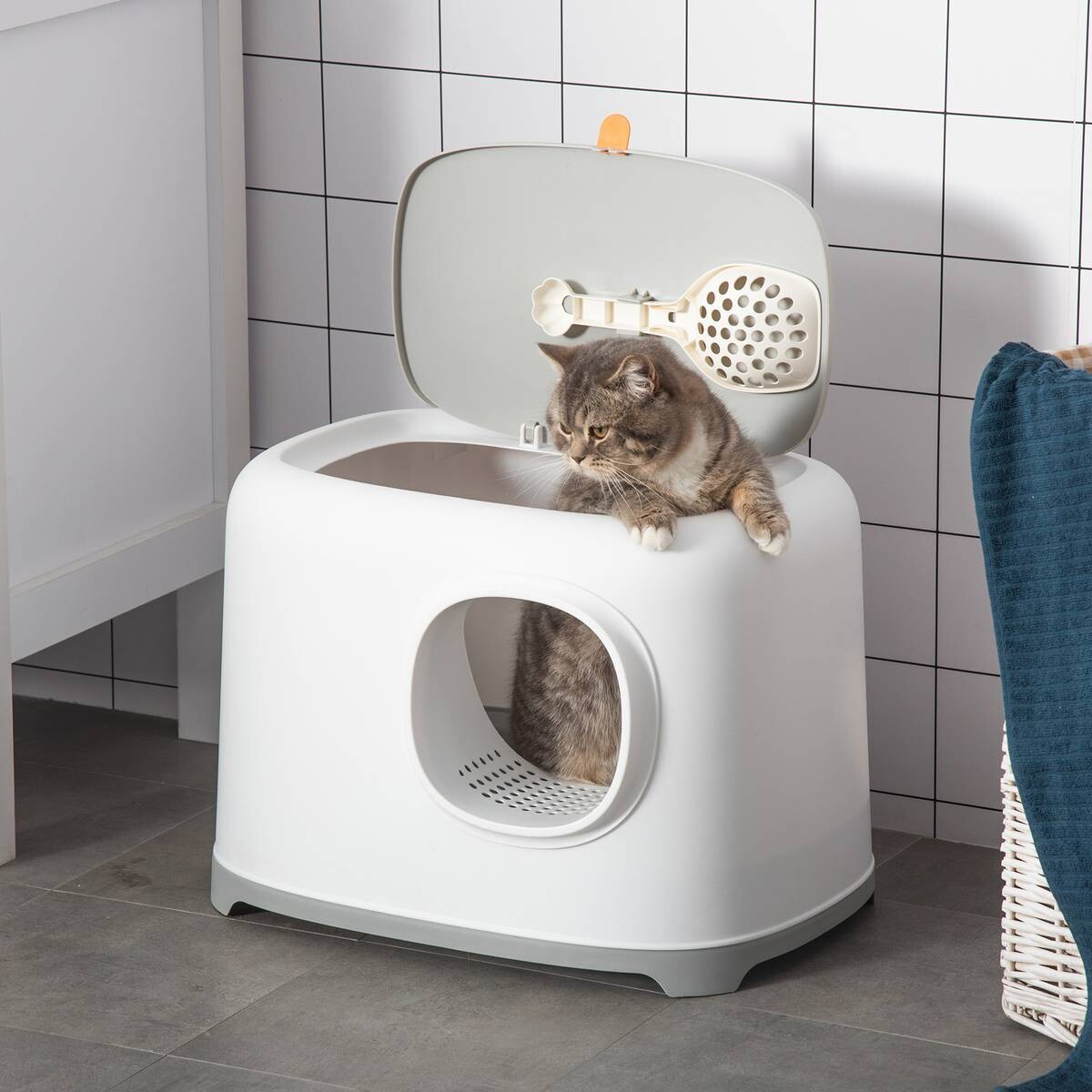 PawHut Katzentoilette hellgrau Kunststoff B/H/L: ca. 40x39x55 cm