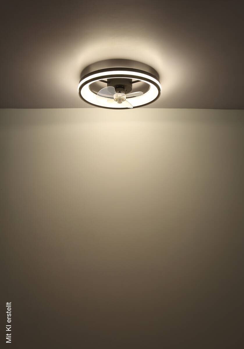 GLOBO LED-Deckenventilator Opal transparent schwarz H/D: ca. 15x49,5 cm max. 30 W