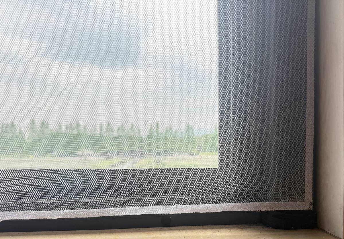 POCOline Fliegengitter schwarz B/L: ca. 100x100 cm