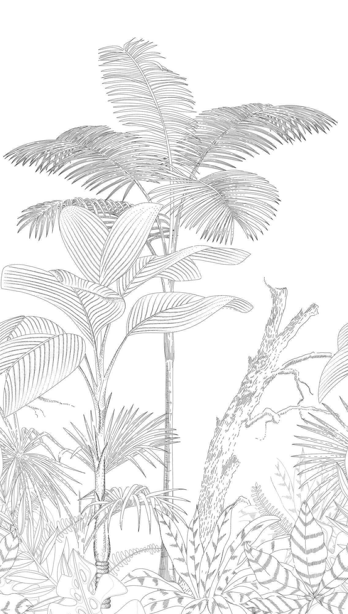 Livingwalls Fototapete Palmen weiß schwarz B/L: ca. 280x159 cm