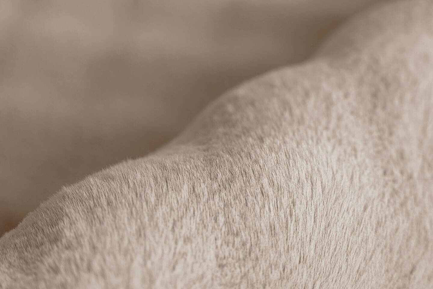 Padiro Hochflorteppich Hailey 125 beige B/H/L: ca. 120x3x160 cm