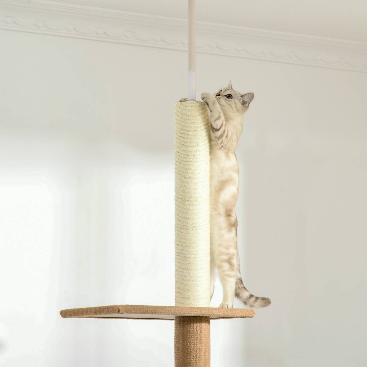 PawHut Kratzbaum khaki Polyester B/H/L: ca. 27x228x43 cm