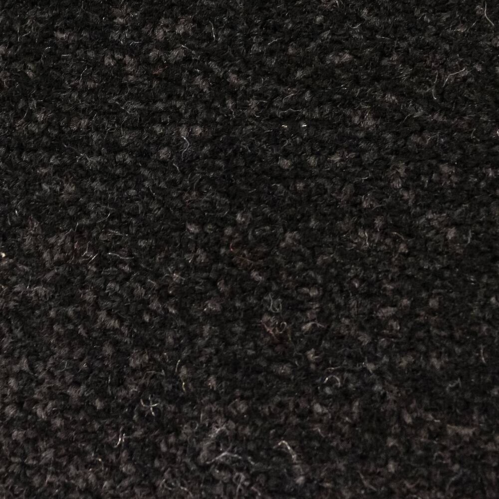 Schmutzfangmatte Alpha schwarz B/L: ca. 40x60 cm