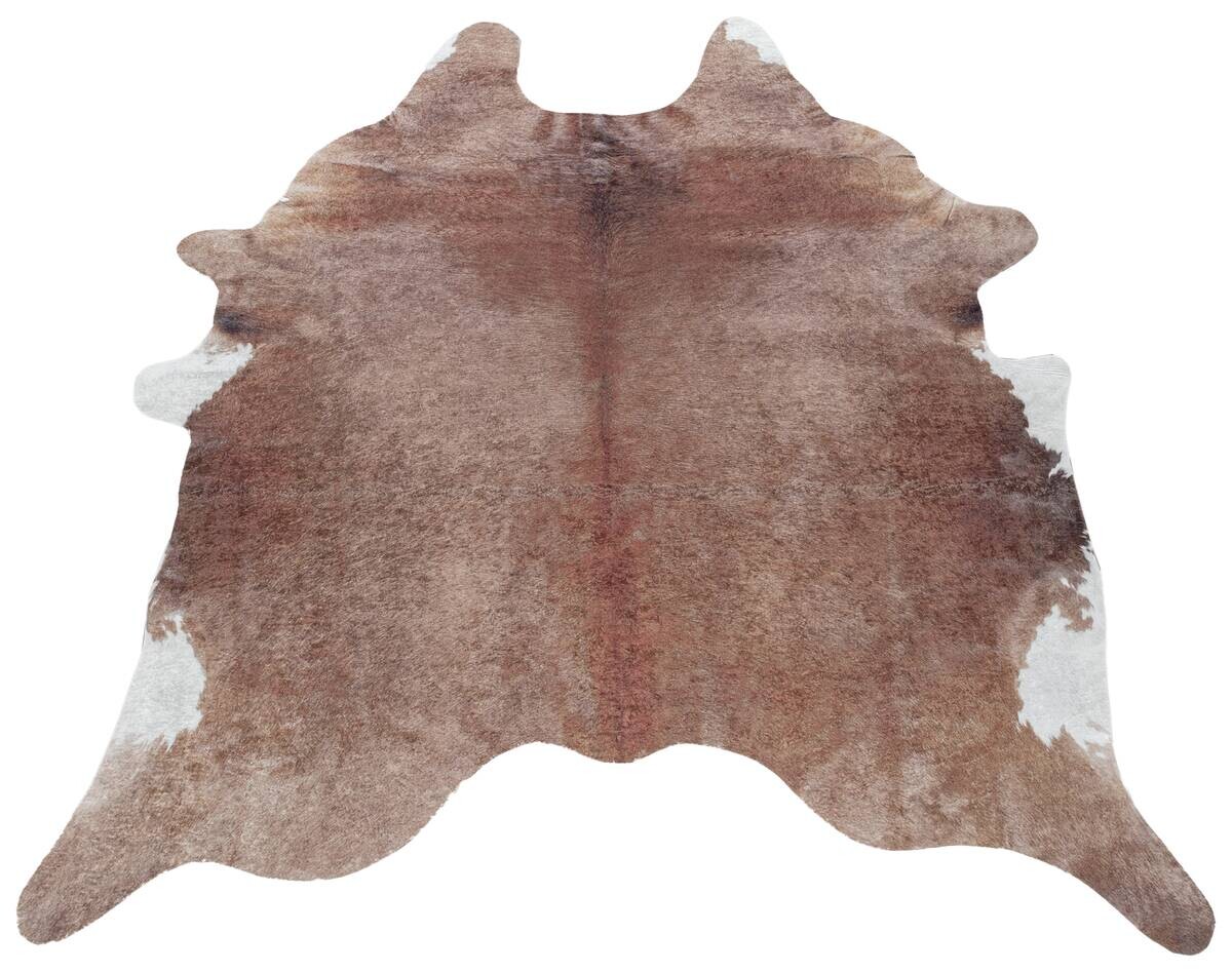 Ayyildiz Teppich ETOSHA braun B/L: ca. 100x135 cm
