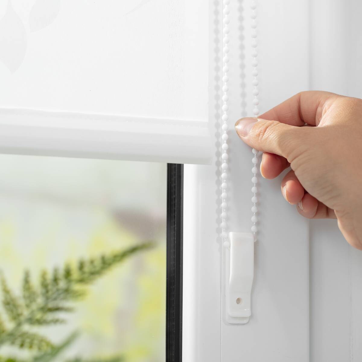 LICHTBLICK Rollo Pflanze weiß B/L: ca. 60x150 cm