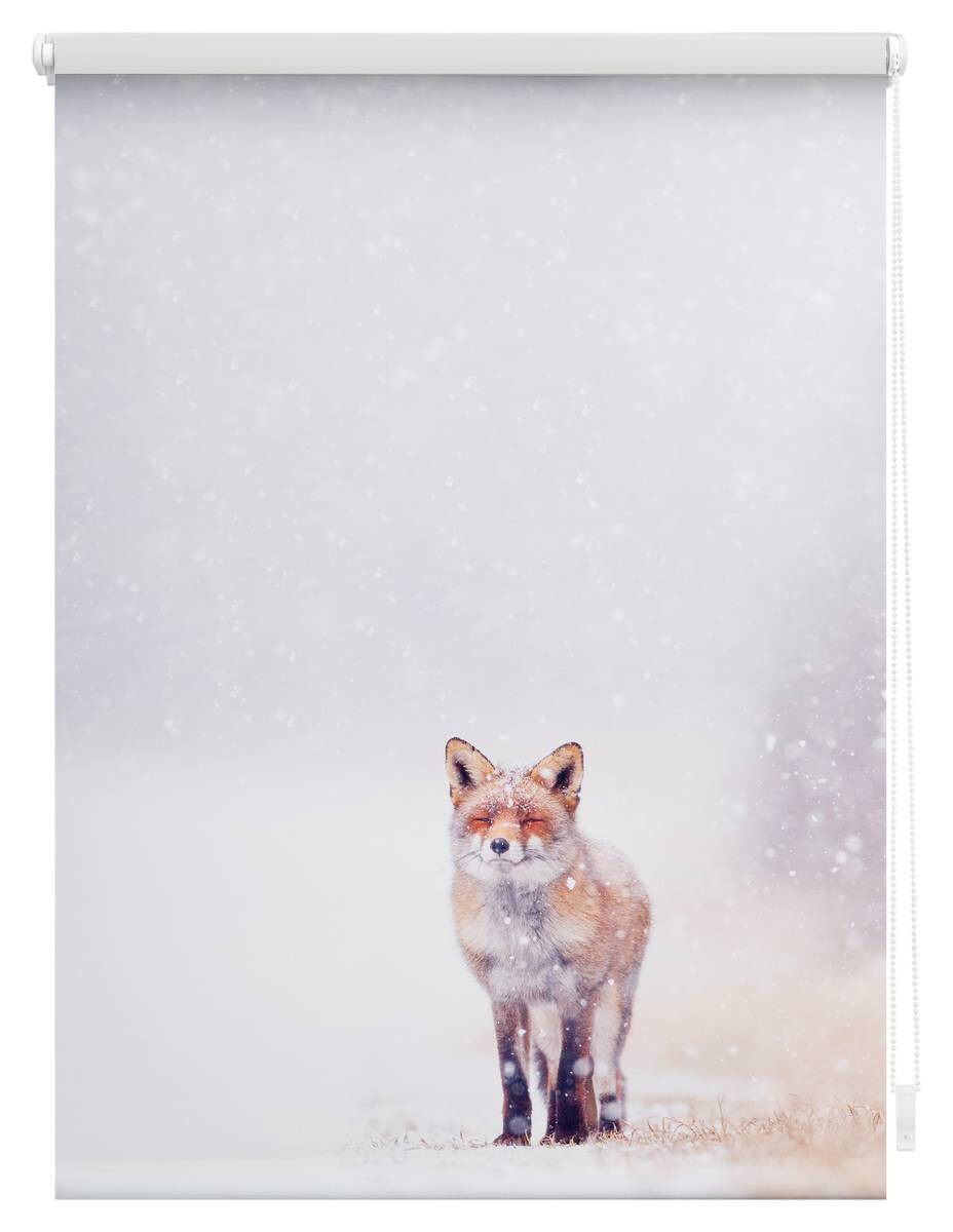 LICHTBLICK Rollo Fuchs im Schnee weiß B/L: ca. 80x150 cm