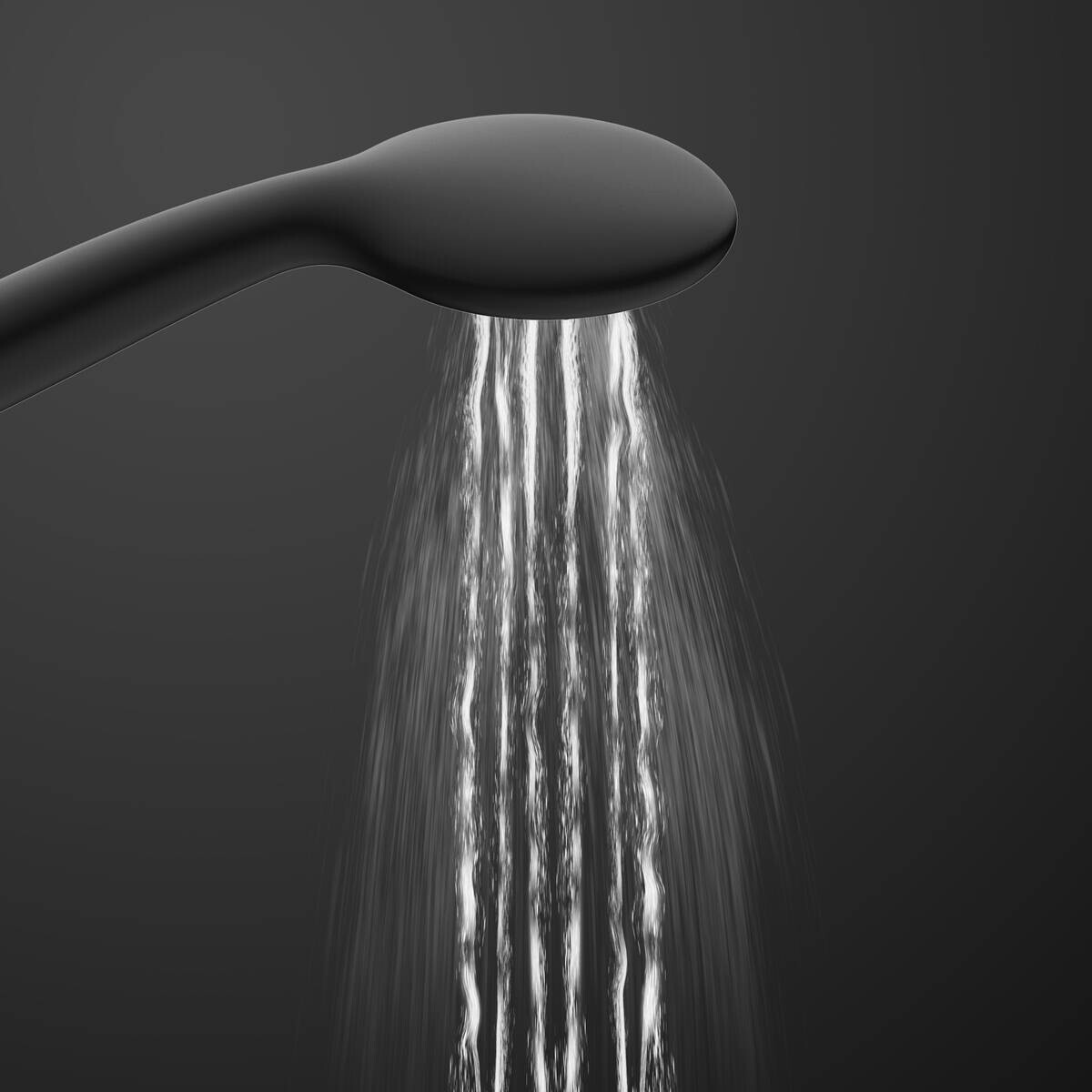 Eisl Handbrause-Set Leon schwarz