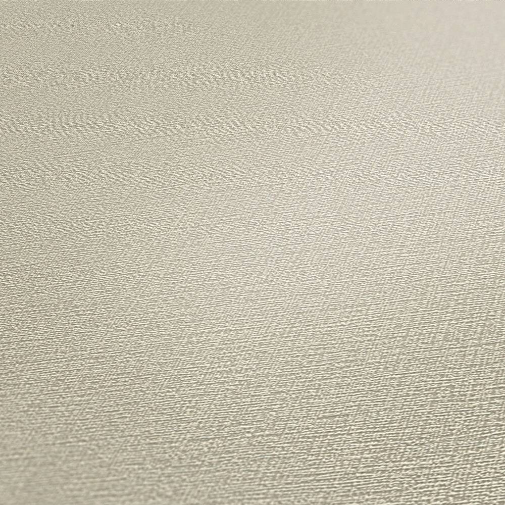 A.S.Creation Vliestapete Attractive Uni grau B/L: ca. 53x1005 cm