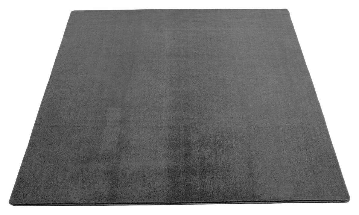 Teppich Joy grau B/L: ca. 160x220 cm