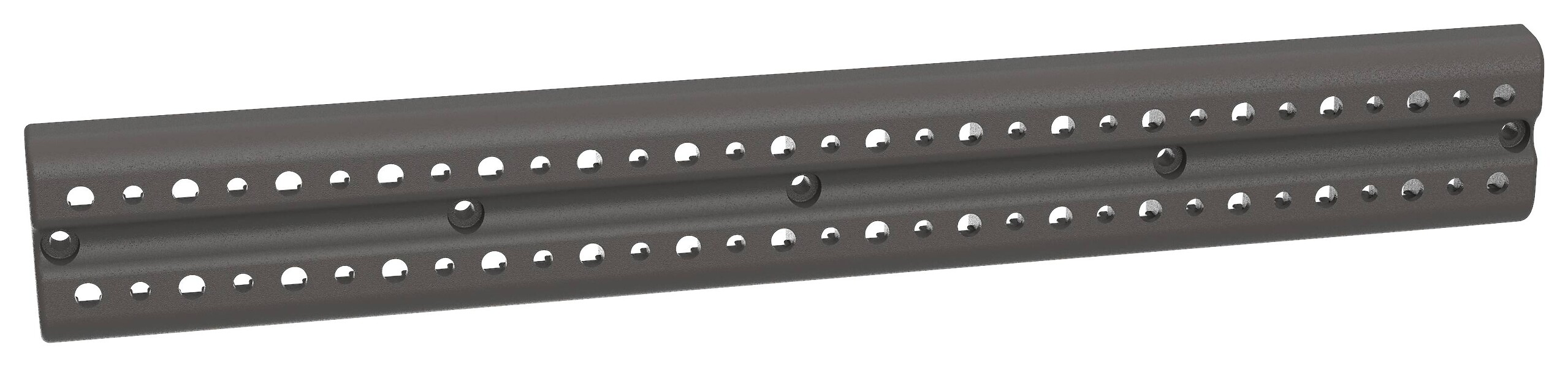 Lifetime Werkzeughalteleiste anthrazit