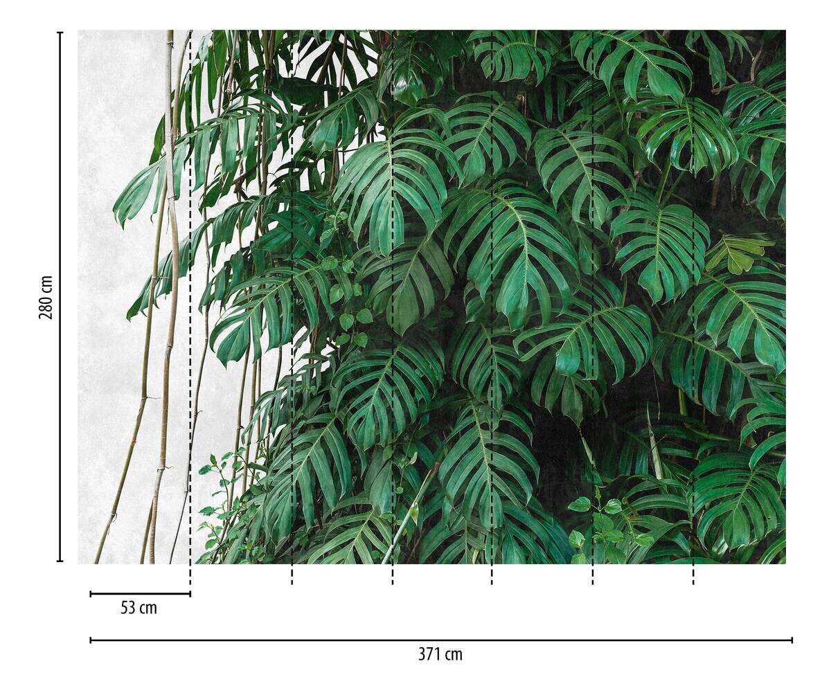 Livingwalls Fototapete Dschungel grün grau B/L: ca. 280x371 cm