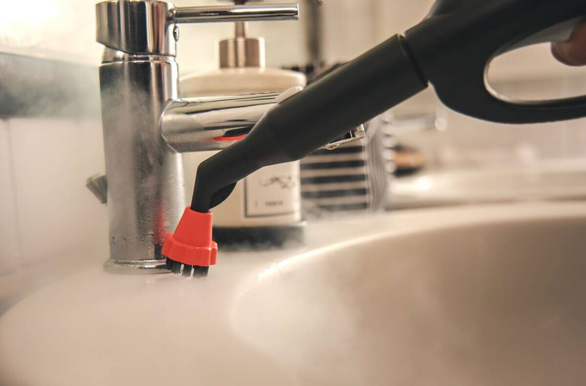 Polti Polti Dampfreiniger PRO 8X ECO PLUS grün weiß Metall Aluminium B/H/L: ca. 44,5x30,5x44,5 cm