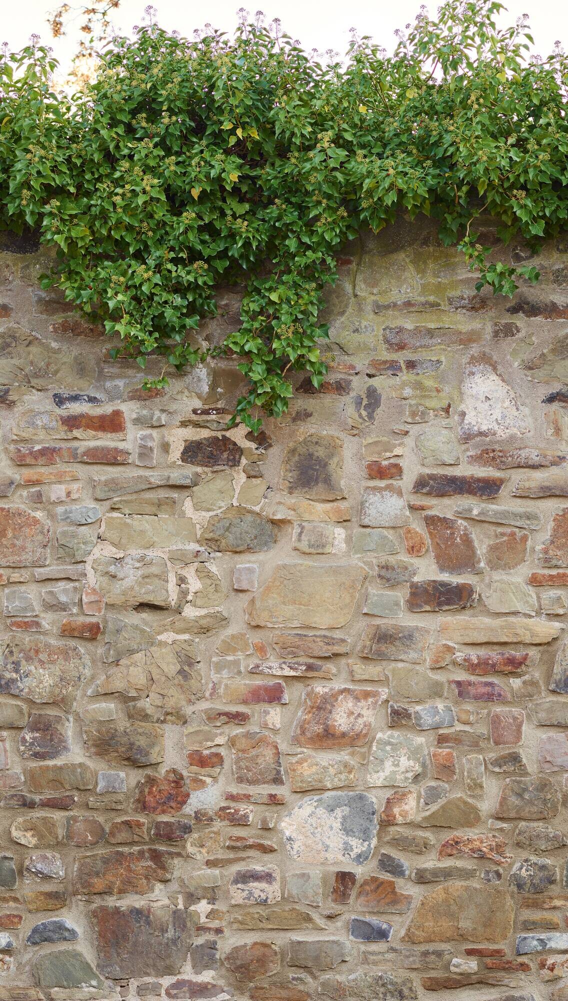 Livingwalls Fototapete Steinoptik beige grün braun B/L: ca. 280x159 cm