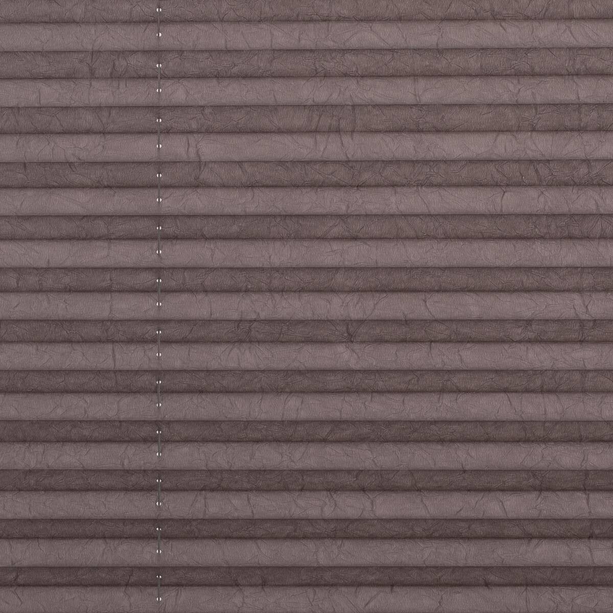 LICHTBLICK Spannplissee taupe B/L: ca. 90x210 cm