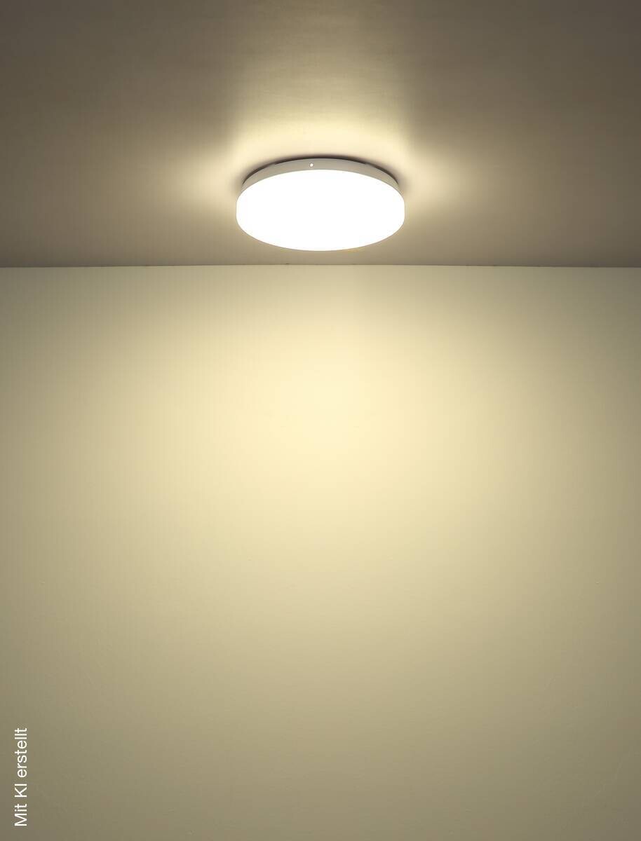 GLOBO LED-Deckenleuchte Hailey weiß Kunststoff D: ca. 20 cm