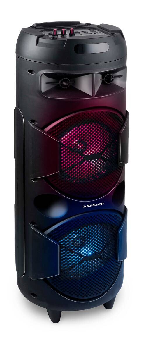 Dunlop Lautsprecher MW-538 H/D: ca. 80x28 cm