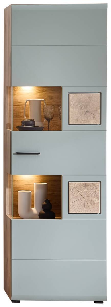 Vitrine Fun Plus 2 salbei Oak Eiche Viking Nachbildung B/H/T: ca. 65x205x37 cm