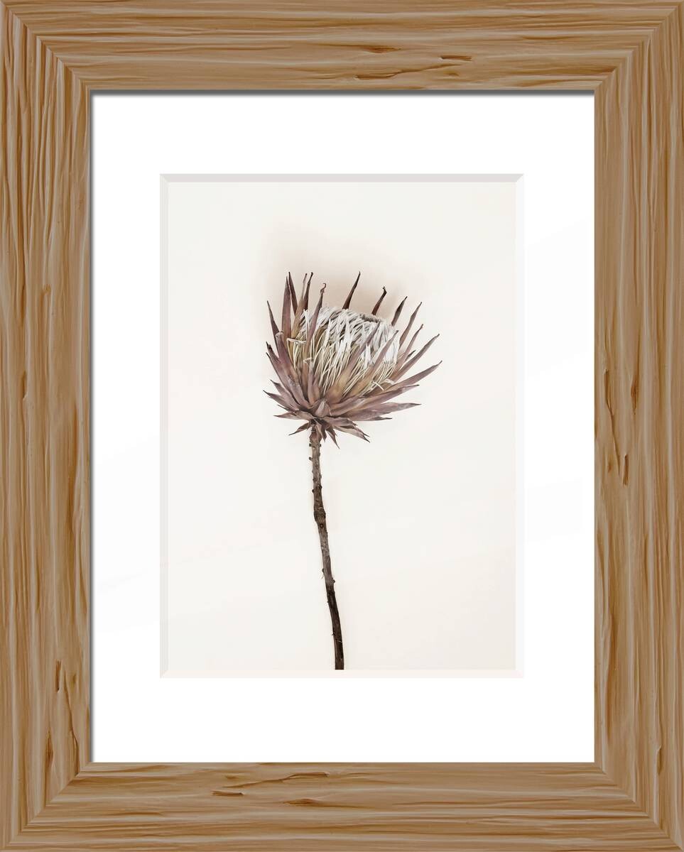 Bilderrahmen natur Holz B/L: ca. 18x24 cm