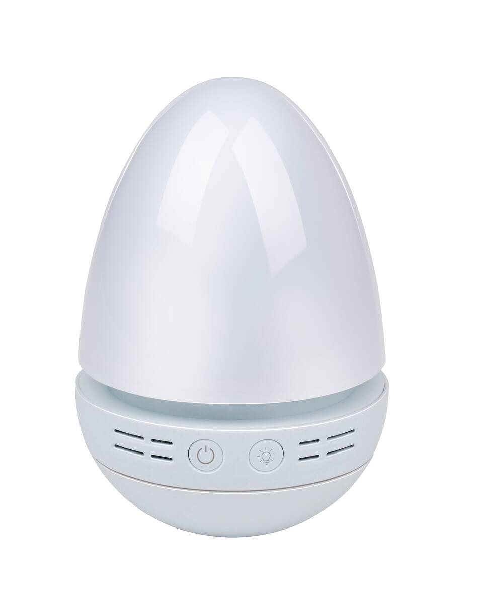 Edco LED-Wackel-Nachtlicht Bär beige B/H/L: ca. 14x11x19 cm