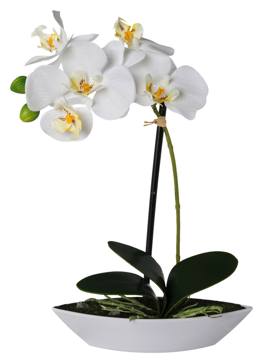 Orchidee weiß Kunststoff H: ca. 30 cm