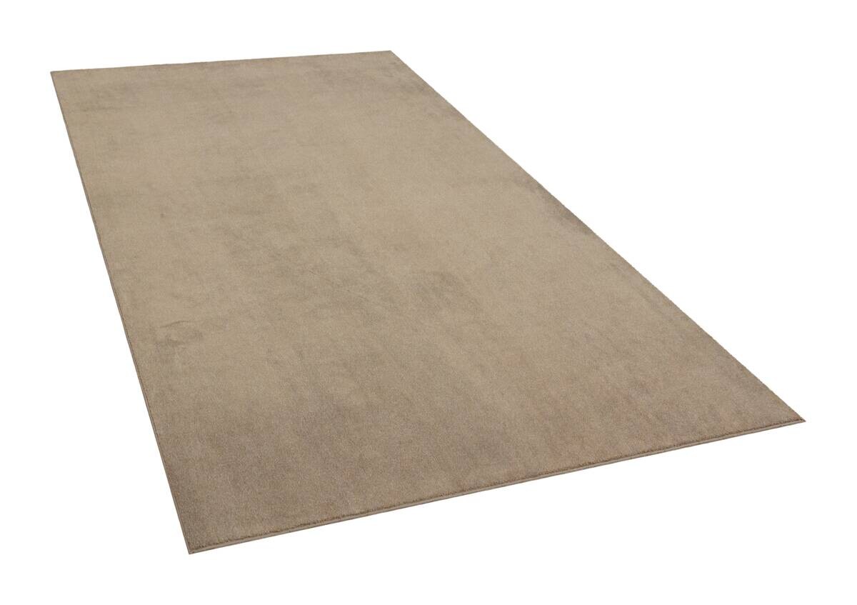 Teppich Flanell taupe B/L: ca. 160x230 cm