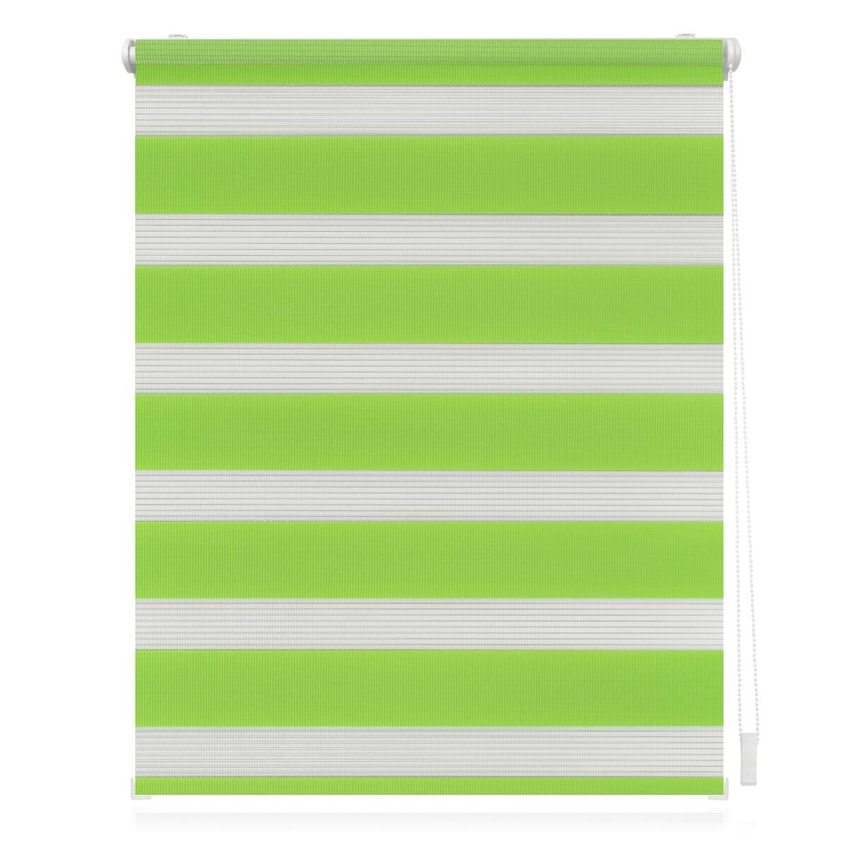 LICHTBLICK Doppelrollo Duo grün B/L: ca. 50x150 cm