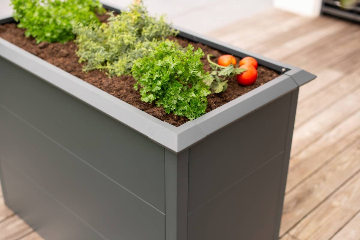 Westmann Hochbeet Primus M anthrazit Metall B/H/T: ca. 100x77x50 cm