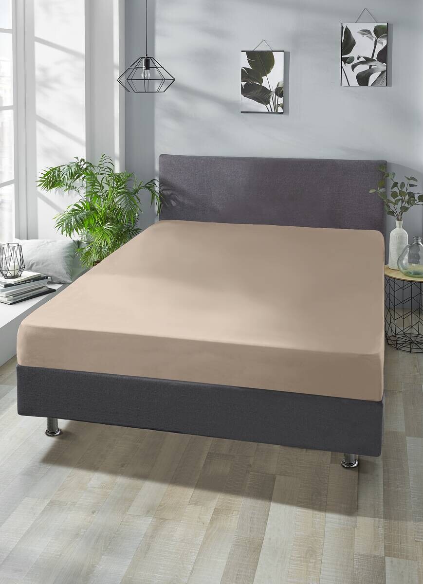 Boxspring Spannbetttuch taupe Baumwolle B/H/L: ca. 180x40x200 cm