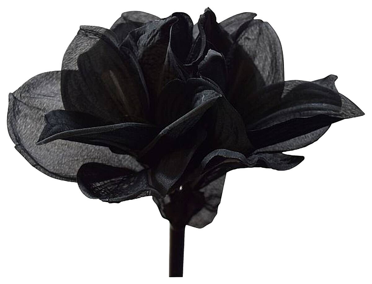 Kunstpflanze Amaryllis schwarz Kunststoff B/H/L: ca. 16x24x70 cm