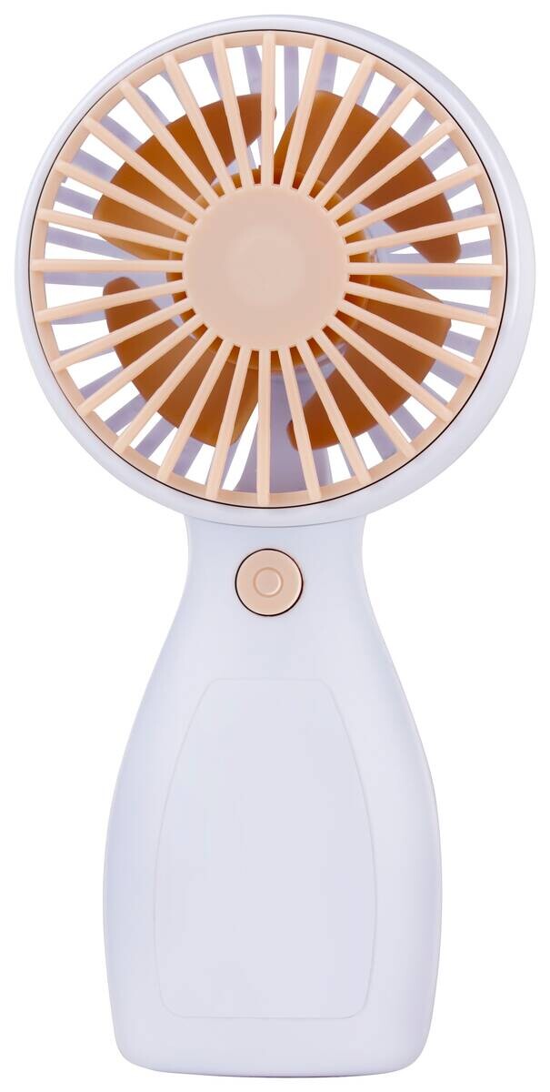 Handventilator grün Kunststoff B/H/L: ca. 4,5x6x13 cm