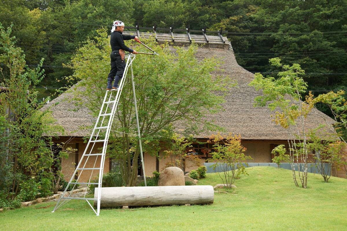 Niwaki Gartenleiter 3-Holm 3-Holm silber B/H: ca. 125x360 cm