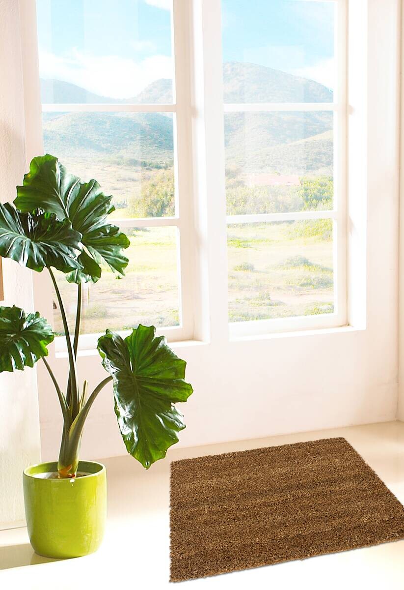 Fußmatte Kokos natur B/L: ca. 40x60 cm