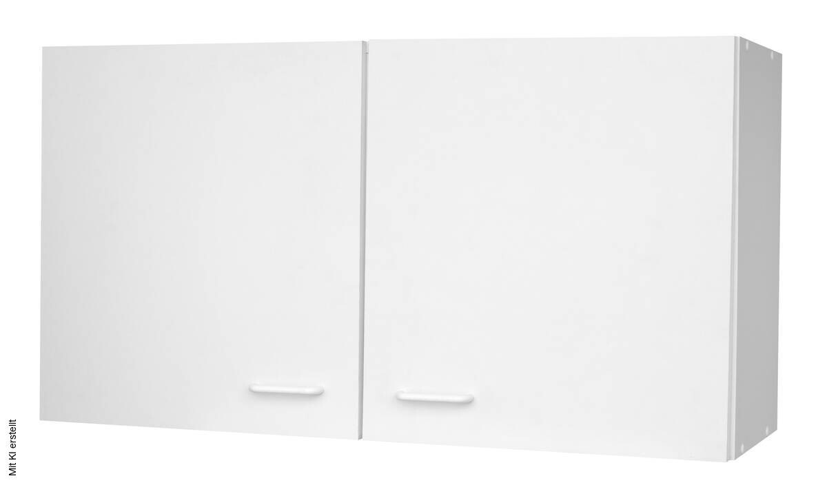 Hängeschrank B/H/T: ca. 100x53x35 cm